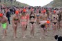 Thumbs/tn_Nieuwjaarsduik Nederzandt 2016 009.jpg